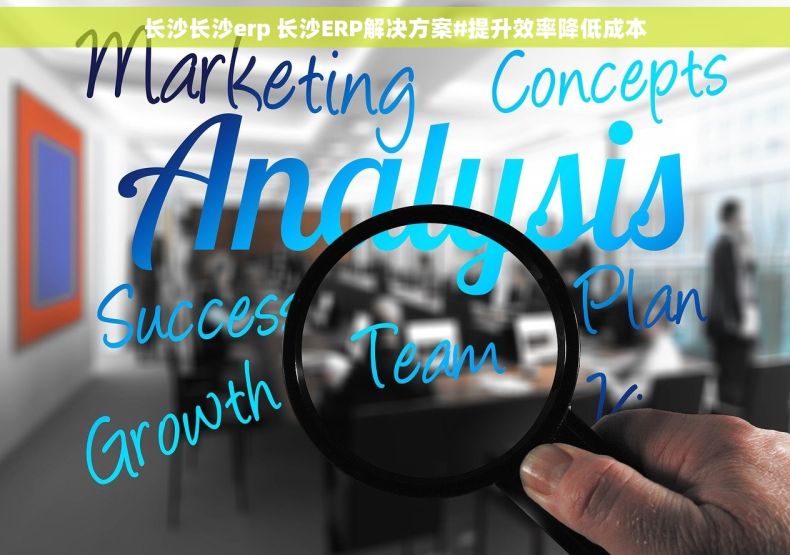 长沙长沙erp 长沙ERP解决方案#提升效率降低成本