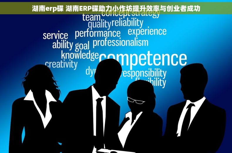 湖南erp碟 湖南ERP碟助力小作坊提升效率与创业者成功