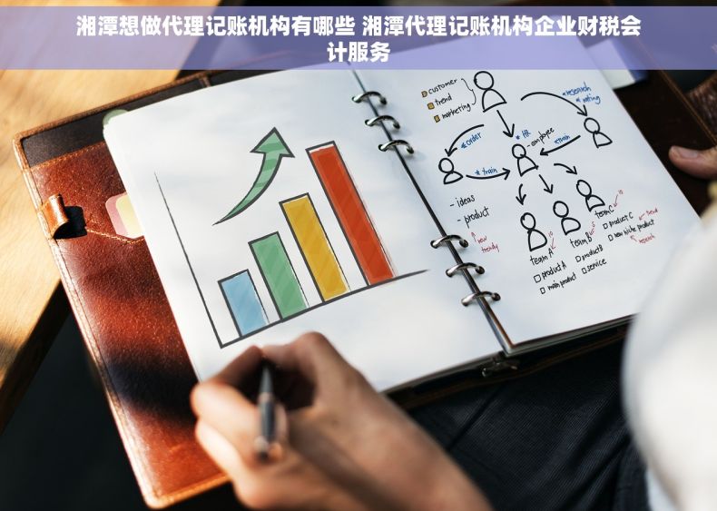 湘潭想做代理记账机构有哪些 湘潭代理记账机构企业财税会计服务