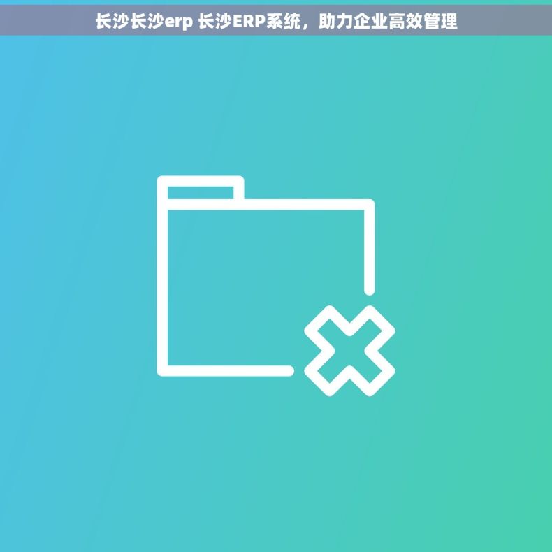 长沙长沙erp 长沙ERP系统，助力企业高效管理
