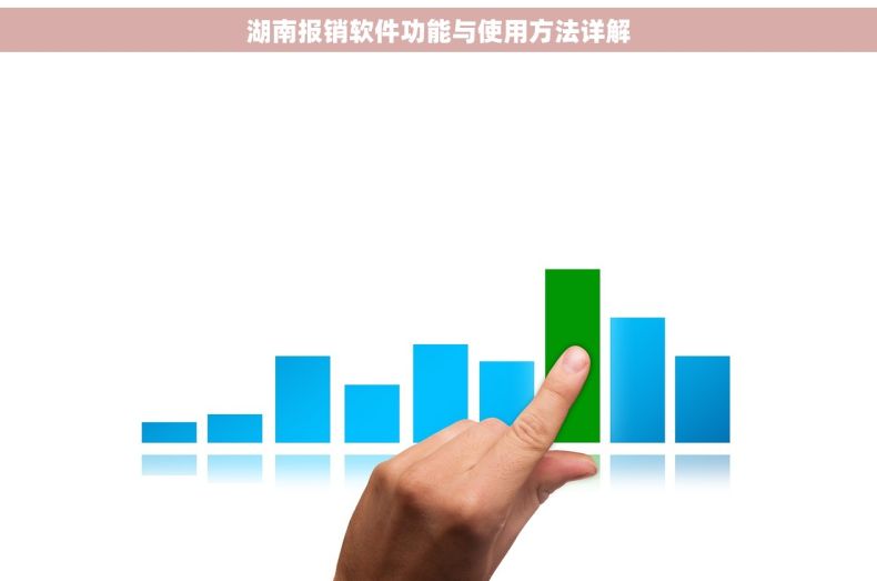 湖南报销软件功能与使用方法详解