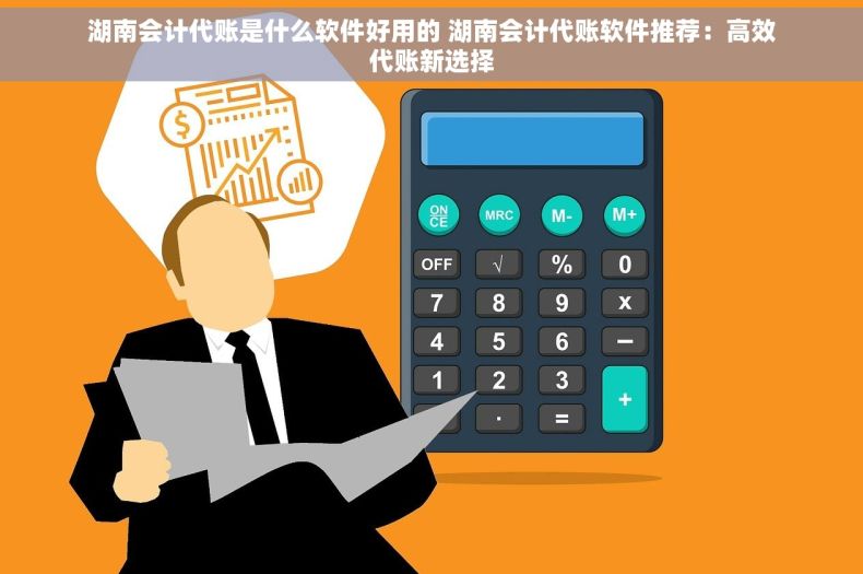 湖南会计代账是什么软件好用的 湖南会计代账软件推荐：高效代账新选择