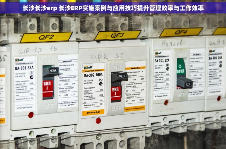 长沙长沙erp 长沙ERP实施案例与应用技巧提升管理效率与工作效率