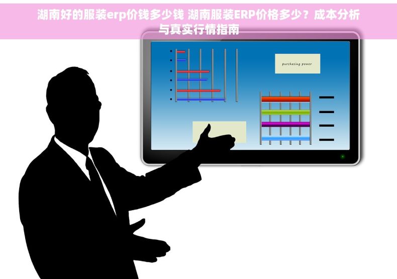 湖南好的服装erp价钱多少钱 湖南服装ERP价格多少？成本分析与真实行情指南