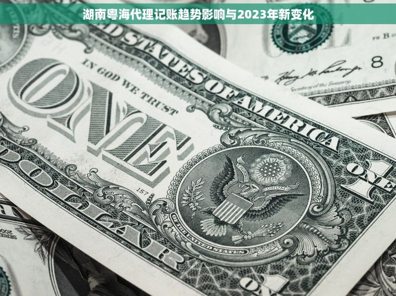 湖南粤海代理记账趋势影响与2023年新变化