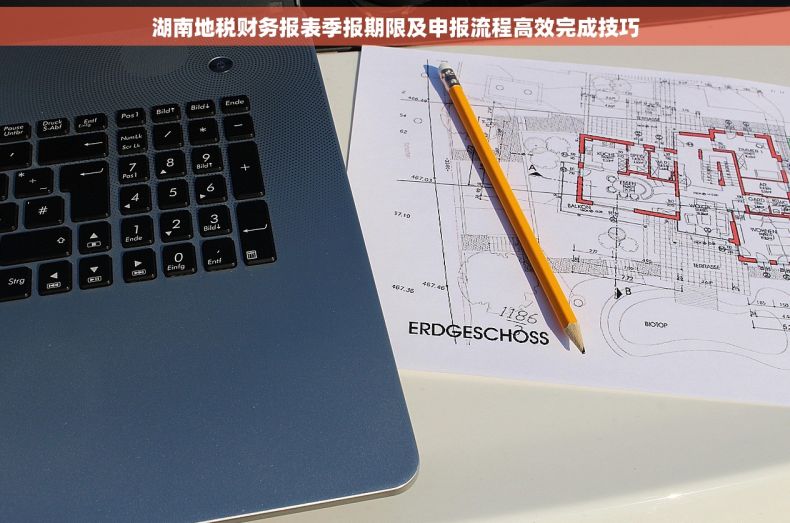 湖南地税财务报表季报期限及申报流程高效完成技巧