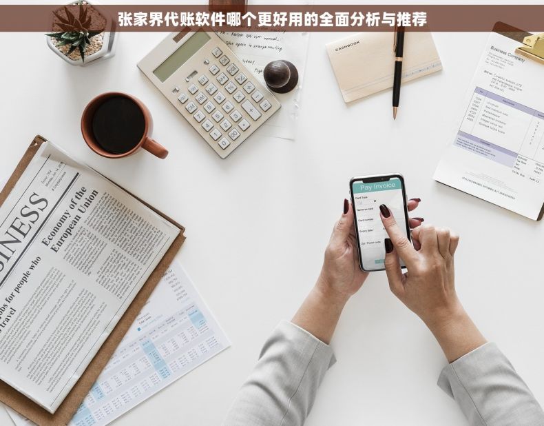 张家界代账软件哪个更好用的全面分析与推荐