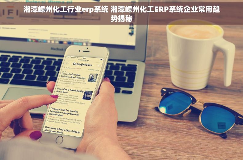 湘潭嵊州化工行业erp系统 湘潭嵊州化工ERP系统企业常用趋势揭秘