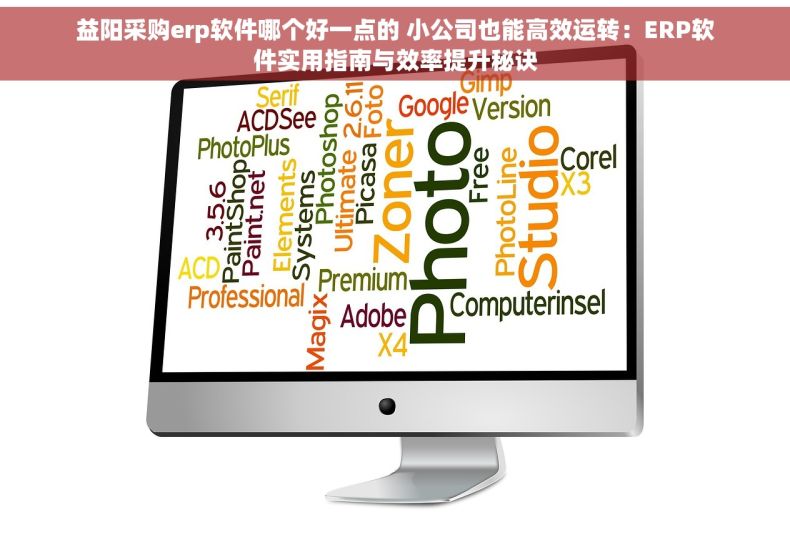 益阳采购erp软件哪个好一点的 小公司也能高效运转：ERP软件实用指南与效率提升秘诀