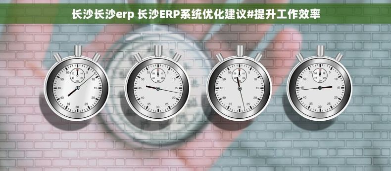 长沙长沙erp 长沙ERP系统优化建议#提升工作效率