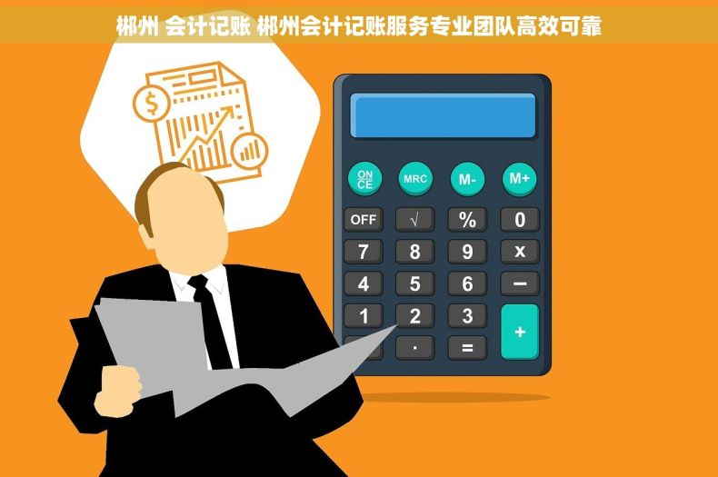 郴州 会计记账 郴州会计记账服务专业团队高效可靠