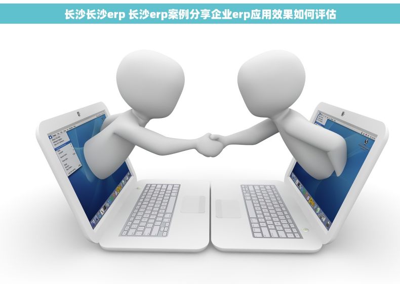 长沙长沙erp 长沙erp案例分享企业erp应用效果如何评估