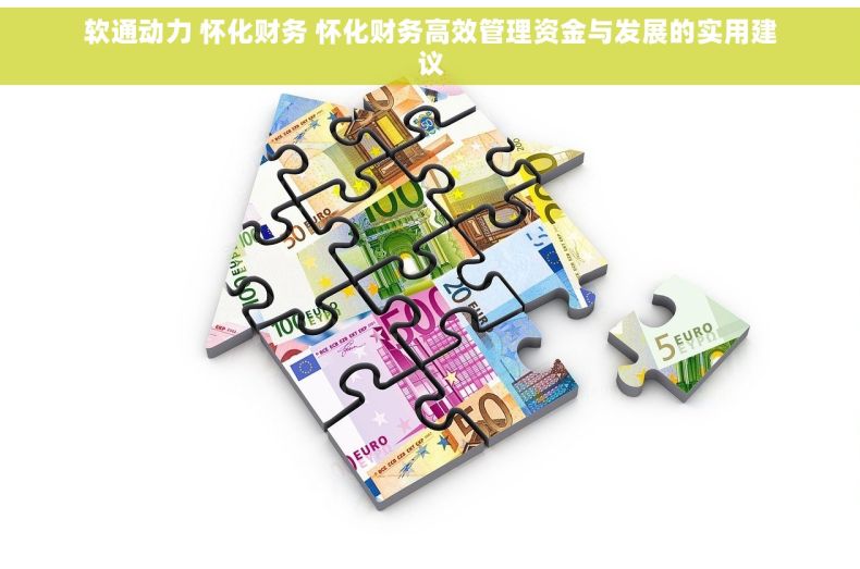 软通动力 怀化财务 怀化财务高效管理资金与发展的实用建议