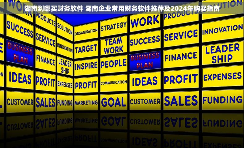 湖南到哪买财务软件 湖南企业常用财务软件推荐及2024年购买指南