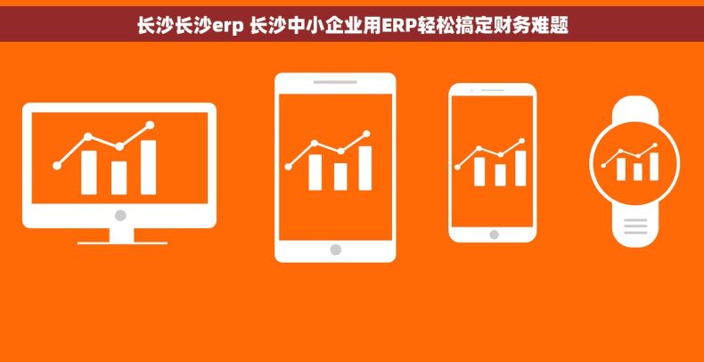 长沙长沙erp 长沙中小企业用ERP轻松搞定财务难题