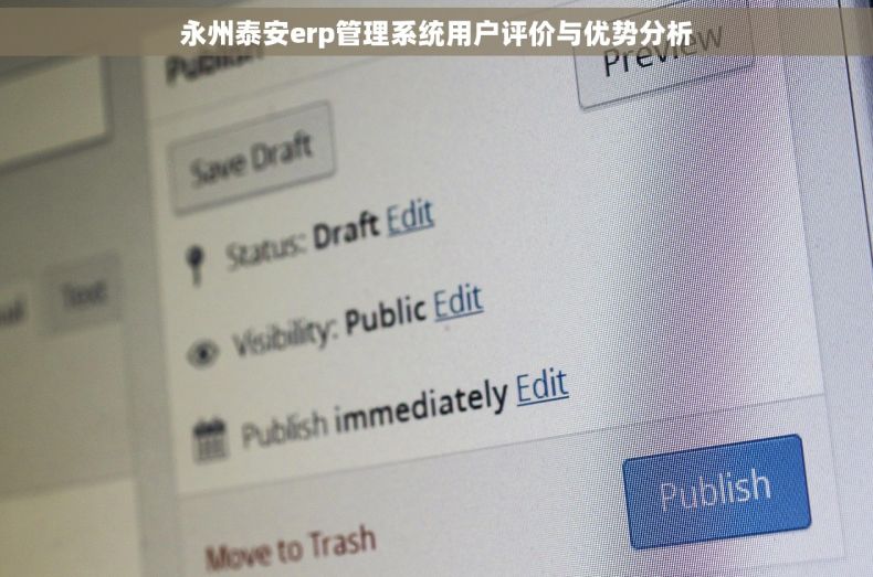 永州泰安erp管理系统用户评价与优势分析