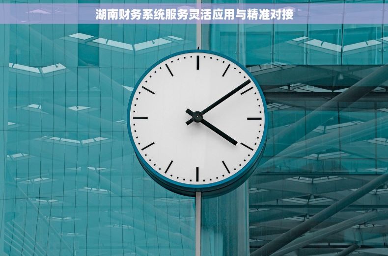 湖南财务系统服务灵活应用与精准对接
