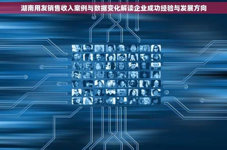 湖南用友销售收入案例与数据变化解读企业成功经验与发展方向