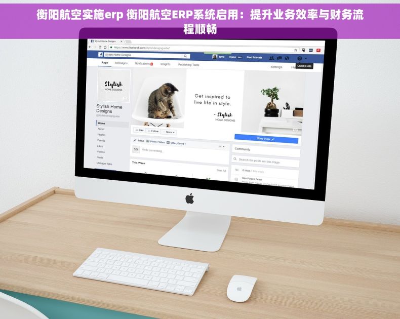 衡阳航空实施erp 衡阳航空ERP系统启用：提升业务效率与财务流程顺畅