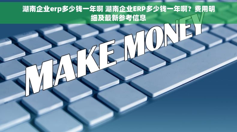 湖南企业erp多少钱一年啊 湖南企业ERP多少钱一年啊？费用明细及最新参考信息