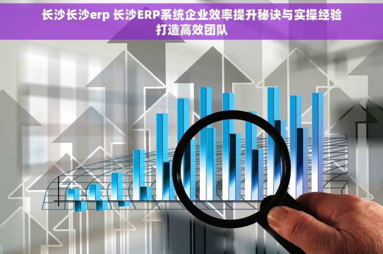 长沙长沙erp 长沙ERP系统企业效率提升秘诀与实操经验打造高效团队