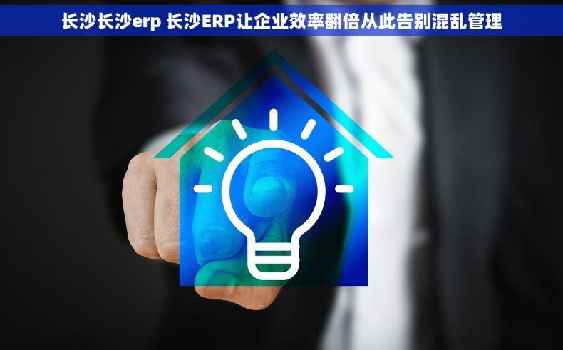 长沙长沙erp 长沙ERP让企业效率翻倍从此告别混乱管理