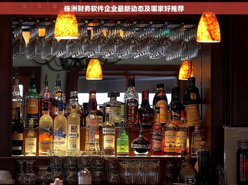 株洲财务软件企业最新动态及哪家好推荐