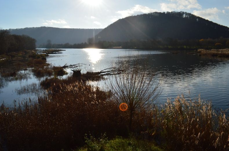 株洲财务软件企业最新动态及哪家好推荐