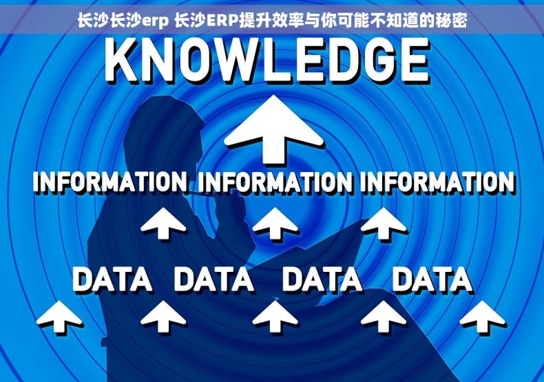 长沙长沙erp 长沙ERP提升效率与你可能不知道的秘密