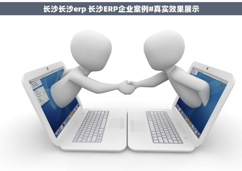 长沙长沙erp 长沙ERP企业案例#真实效果展示