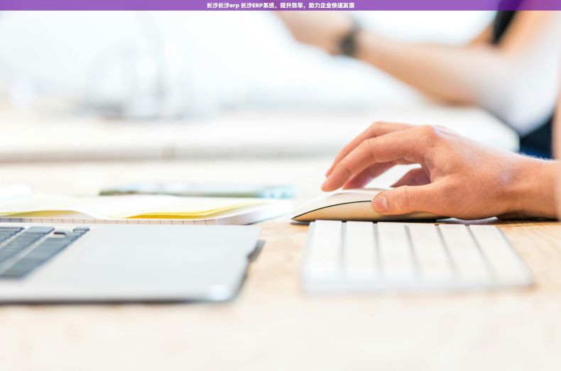 长沙长沙erp 长沙ERP系统，提升效率，助力企业快速发展