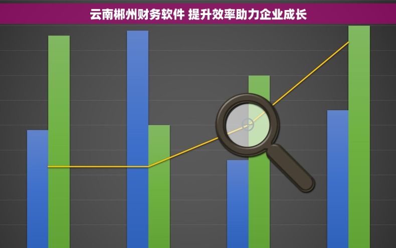 云南郴州财务软件 提升效率助力企业成长