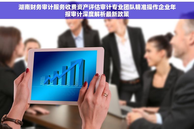 湖南财务审计服务收费资产评估审计专业团队精准操作企业年报审计深度解析最新政策