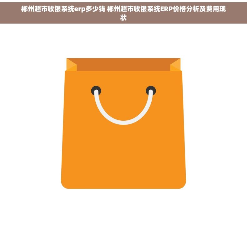 郴州超市收银系统erp多少钱 郴州超市收银系统ERP价格分析及费用现状