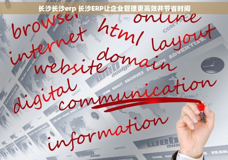 长沙长沙erp 长沙ERP让企业管理更高效并节省时间