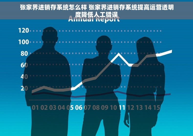 张家界进销存系统怎么样 张家界进销存系统提高运营透明度降低人工错误