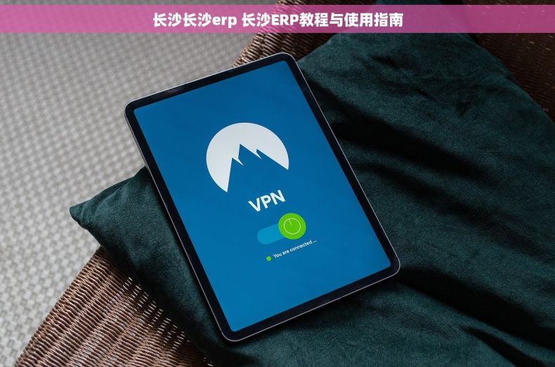 长沙长沙erp 长沙ERP教程与使用指南