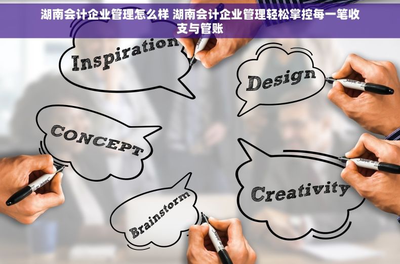 湖南会计企业管理怎么样 湖南会计企业管理轻松掌控每一笔收支与管账