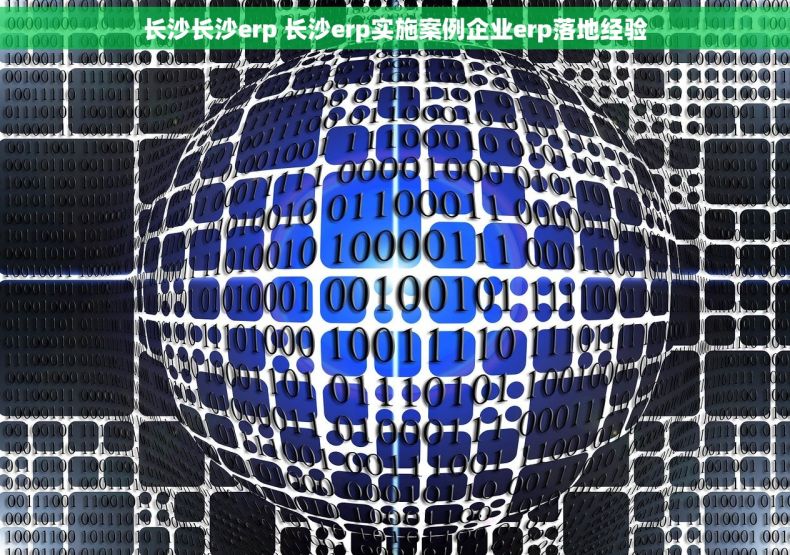 长沙长沙erp 长沙erp实施案例企业erp落地经验