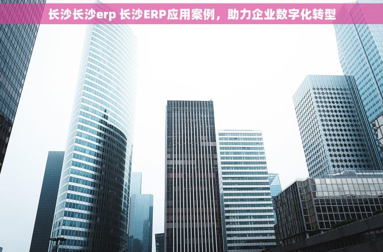 长沙长沙erp 长沙ERP应用案例，助力企业数字化转型