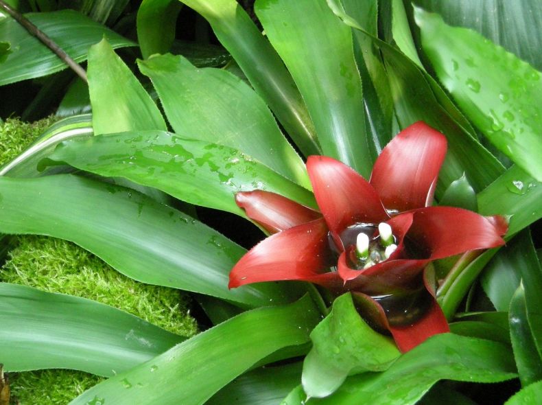 长沙长沙erp 长沙ERP最新动态#实时更新信息