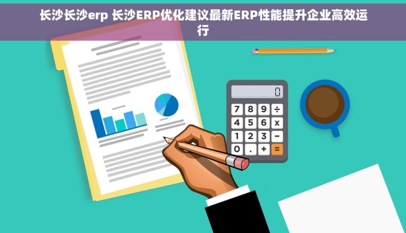 长沙长沙erp 长沙ERP优化建议最新ERP性能提升企业高效运行