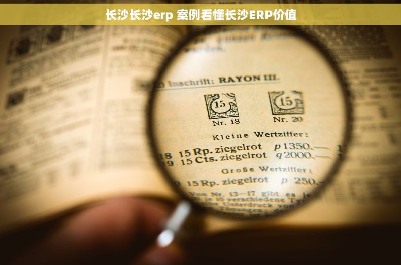 长沙长沙erp 案例看懂长沙ERP价值