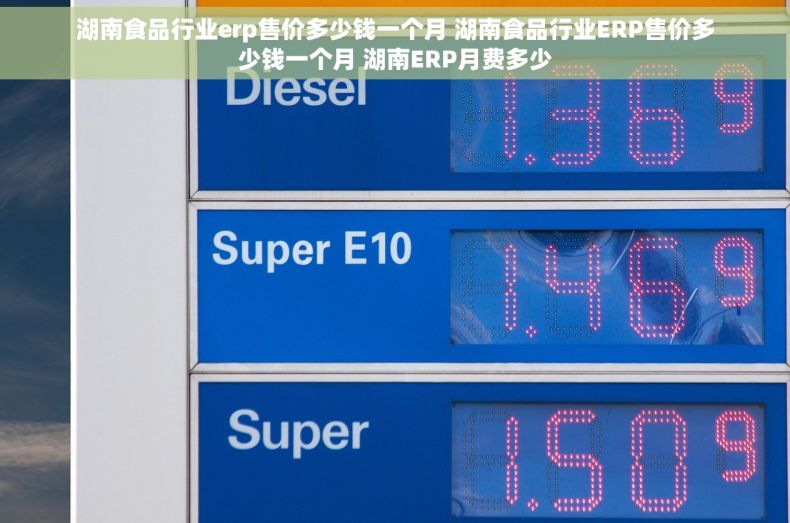 湖南食品行业erp售价多少钱一个月 湖南食品行业ERP售价多少钱一个月 湖南ERP月费多少