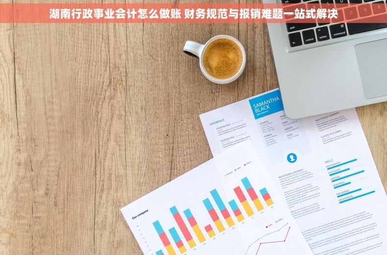 湖南行政事业会计怎么做账 财务规范与报销难题一站式解决