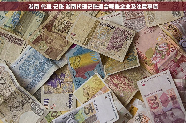 湖南 代理 记账 湖南代理记账适合哪些企业及注意事项