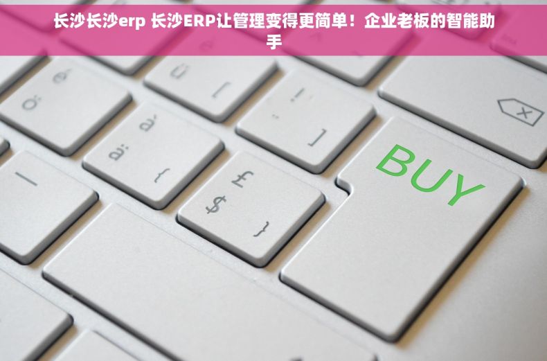 长沙长沙erp 长沙ERP让管理变得更简单！企业老板的智能助手