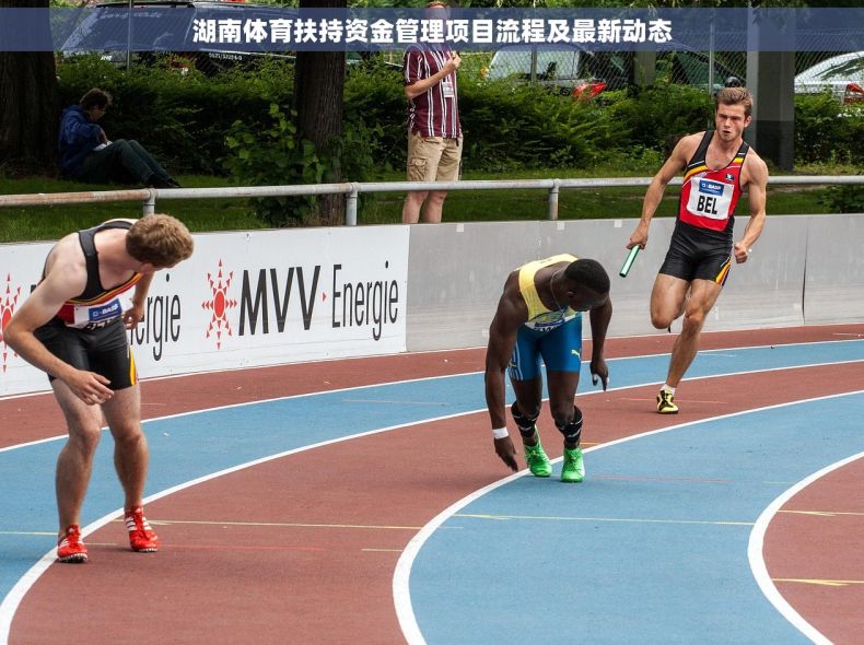 湖南体育扶持资金管理项目流程及最新动态
