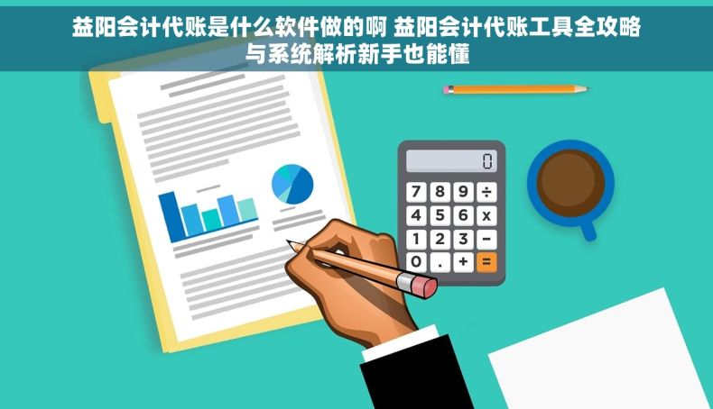 益阳会计代账是什么软件做的啊 益阳会计代账工具全攻略与系统解析新手也能懂