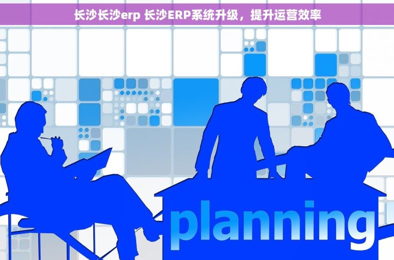 长沙长沙erp 长沙ERP系统升级，提升运营效率